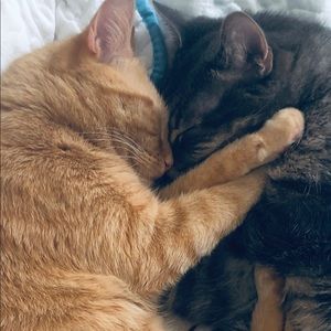 Meet your Posher, Rebecca